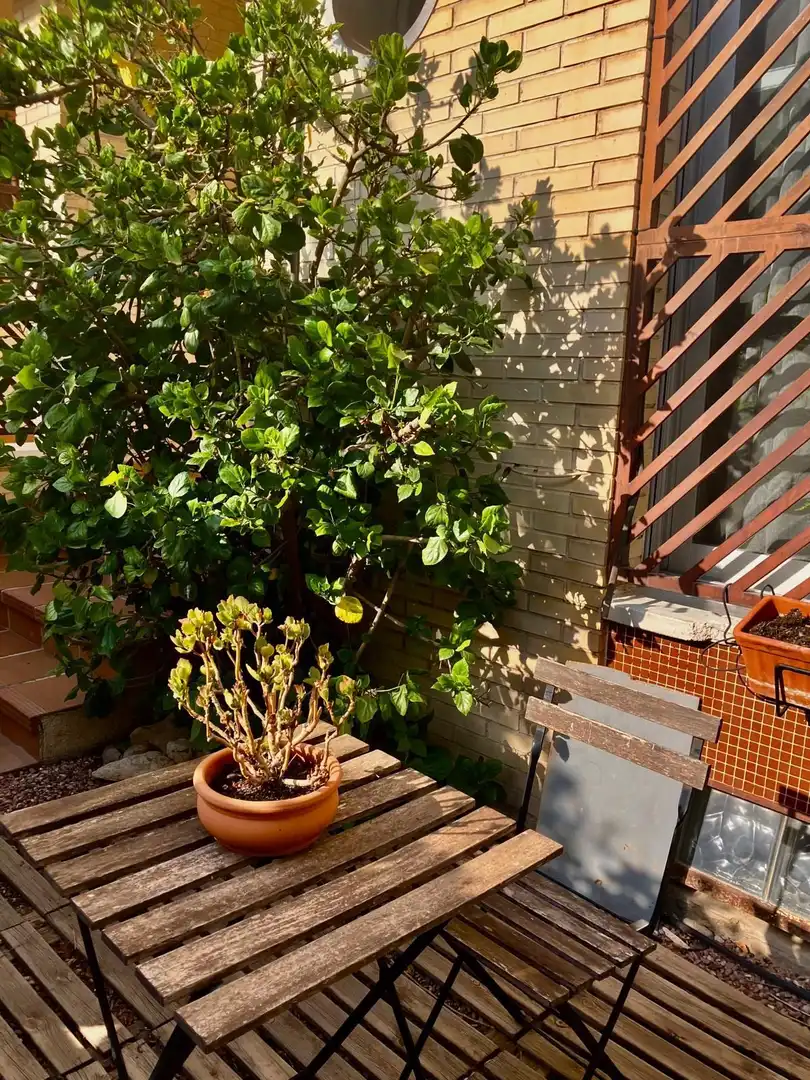 Balcony of Duplexes for rent in Murcia  with Air Conditioner, Private garden and Terrace