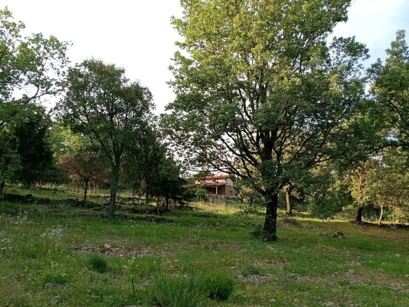 Terreno en venta en Villanueva de la Vera