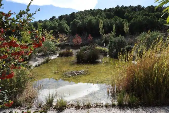 Rural land for sale in Torremanzanas / La Torre de les Maçanes, imagen 13