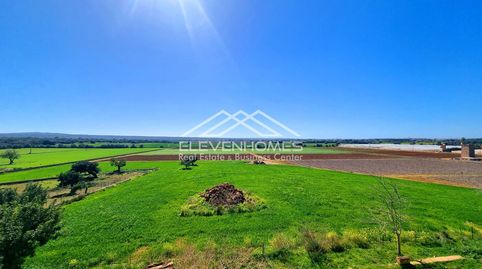 Foto 3 de Finca rústica en venta en Sa Casa Blanca, Palma de Mallorca