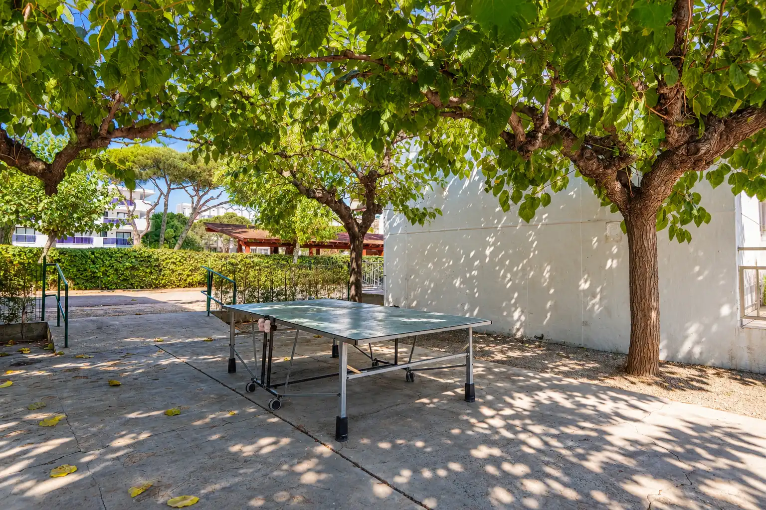 Studio mit Pool zum Verkauf in Carrer de Serafí Pitarra, imagen 31