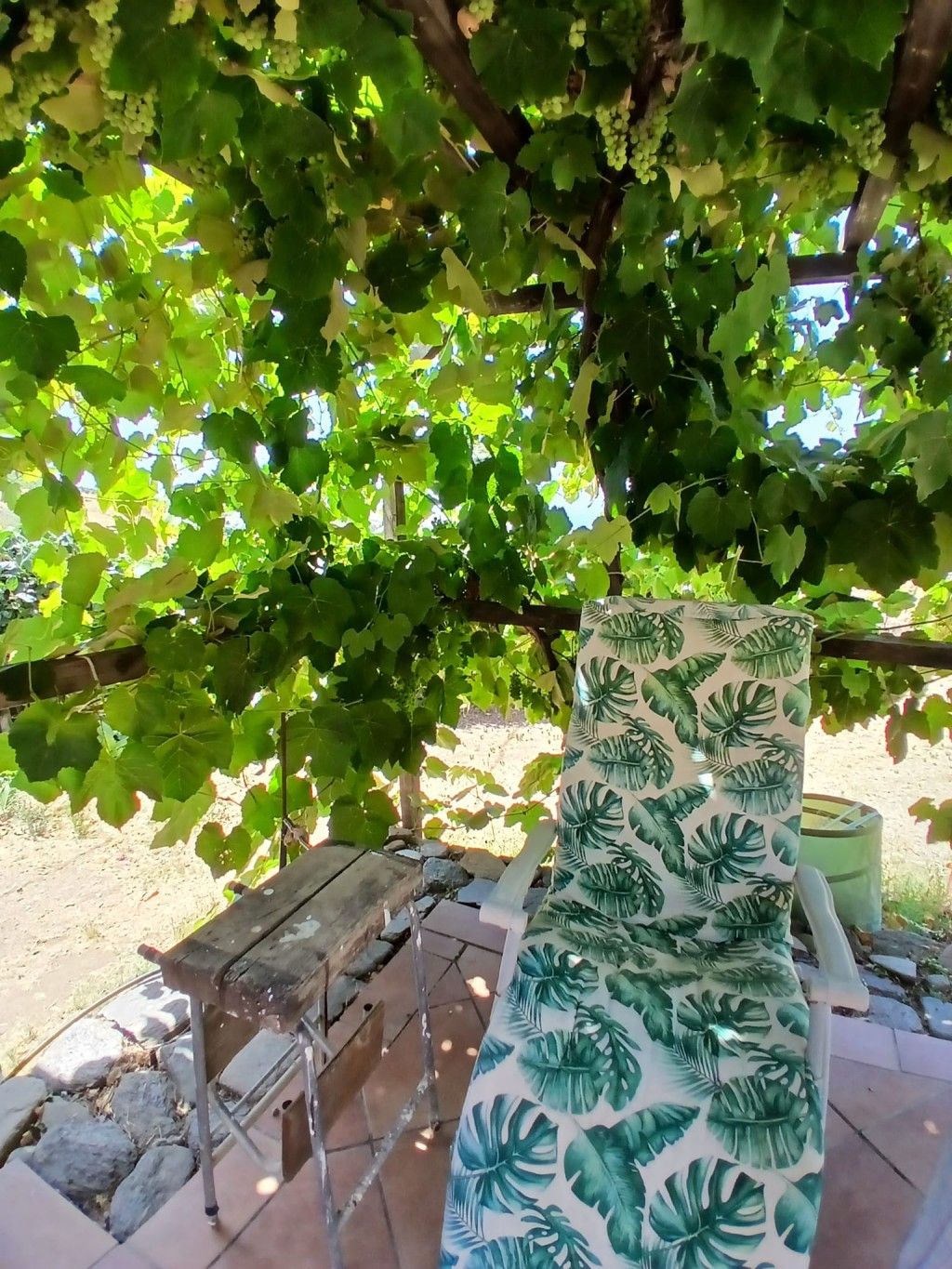 Garden of Country house for sale in Vélez-Málaga  with Terrace and Furnished