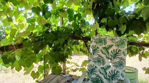 Photo 3 of Country house for sale in Lagos, Málaga