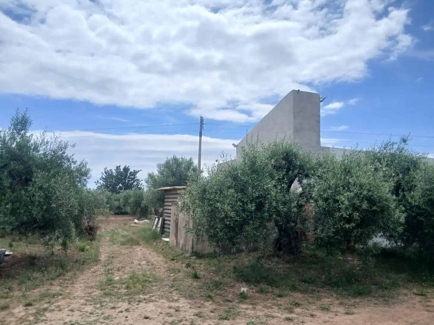 Finca rústica en venta en Benicarló con Amueblado y Alarma