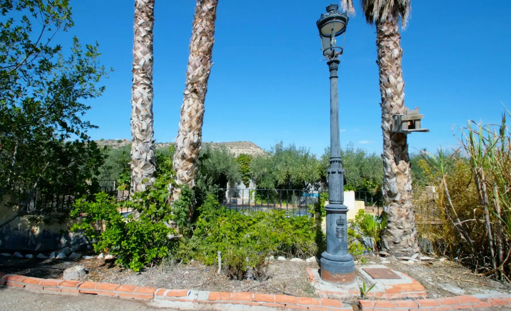 Vista exterior de Casa o chalet en venta en Cantoria con Jardín privado, Terraza y Piscina