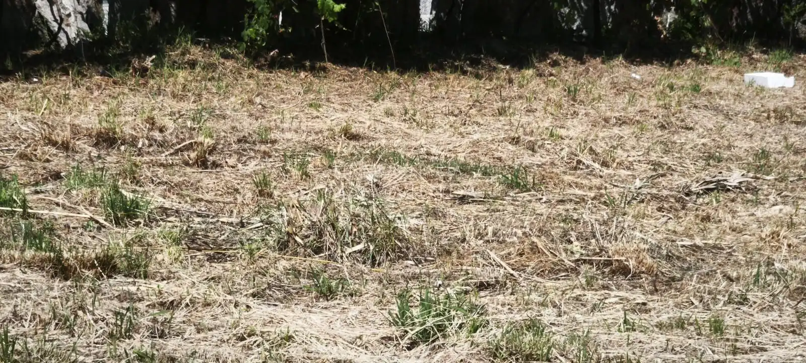 Terreni e lotti in vendita a Presa (A)-Parderrubias, imagen 3