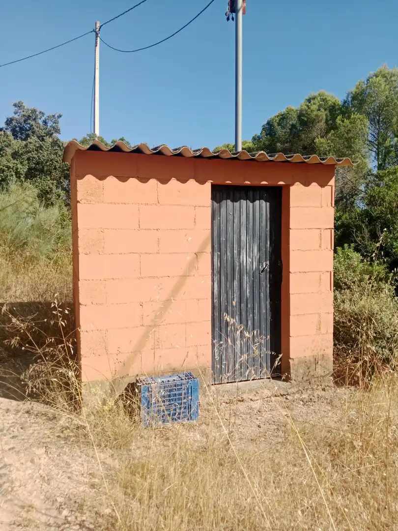 Terreny rústic en venda a Ginestar, imagen 25