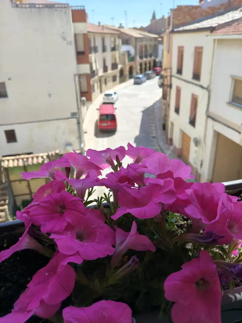Chalet con terraza en venta en Agramunt, imagen 11