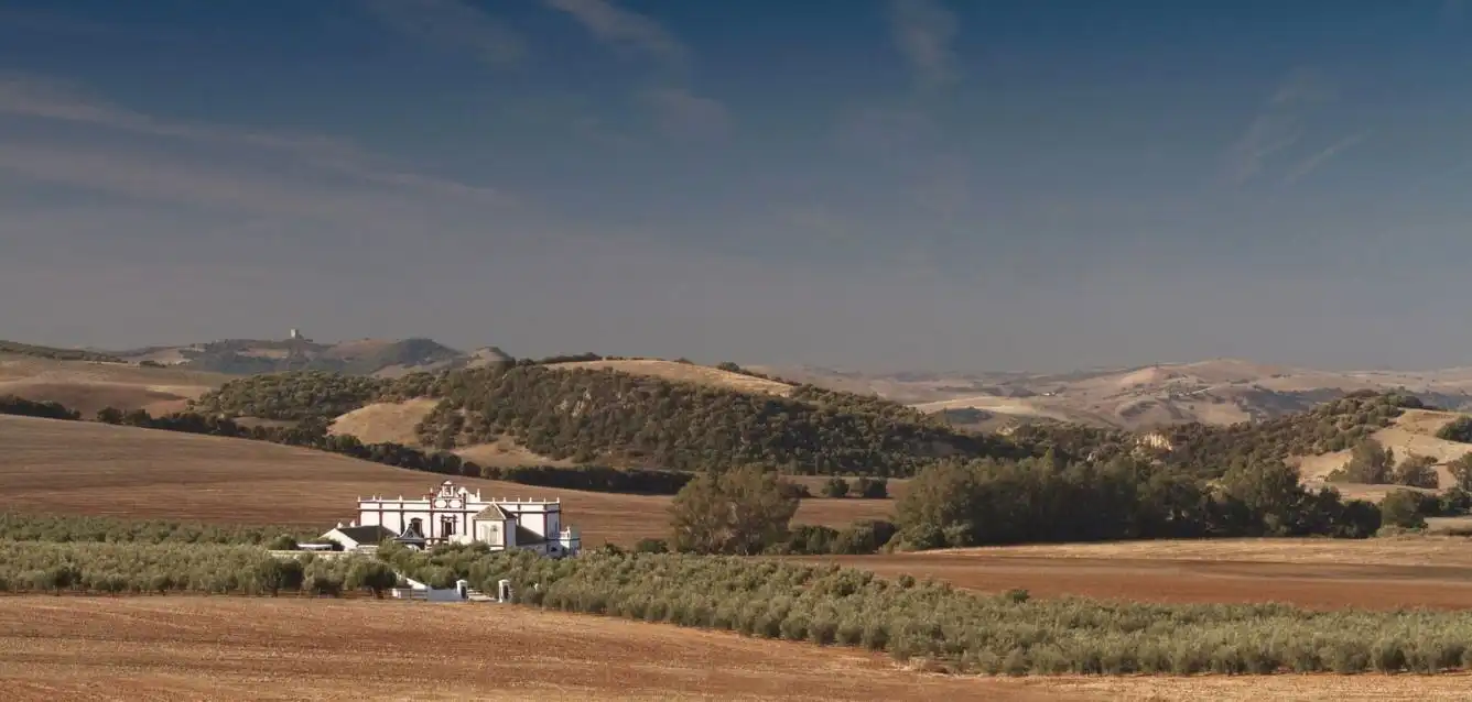 Vista exterior de Finca rústica en venda en Montellano amb Jardí privat, Parquet i Terrassa