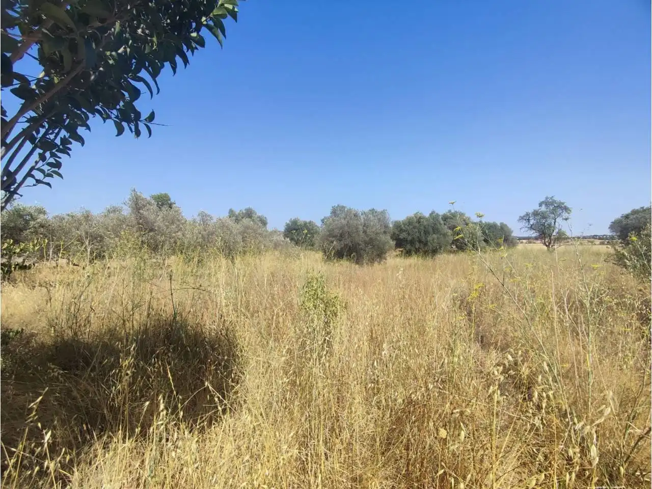 Terreno industrial en venta en Fonz