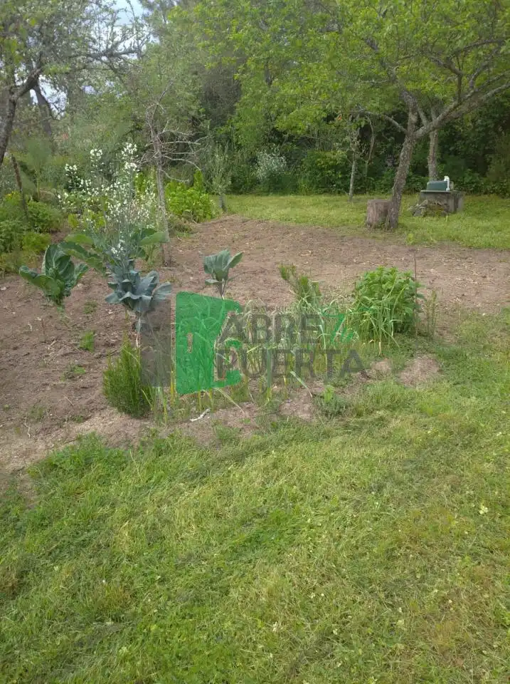 Casa rústica con jardín en venta en San Cibrao das Viñas, imagen 19