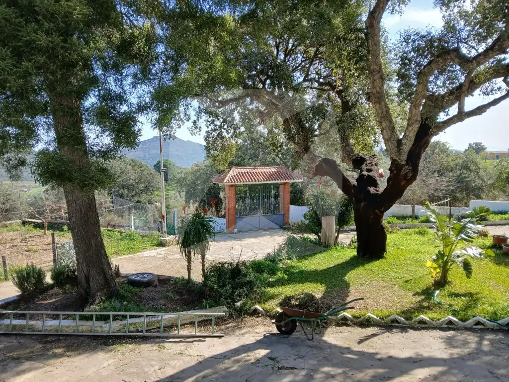 Jardí de Casa o xalet en venda en Cáceres amb Aire condicionat, Terrassa i Piscina