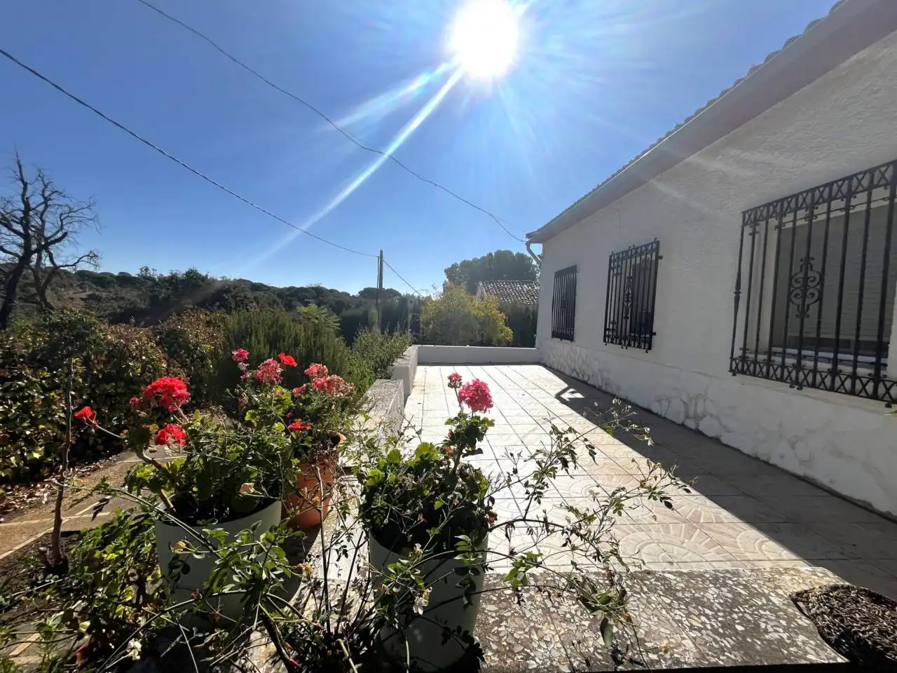 Vista exterior de Casa o chalet en venta en Valverde del Camino con Jardín privado, Terraza y Amueblado