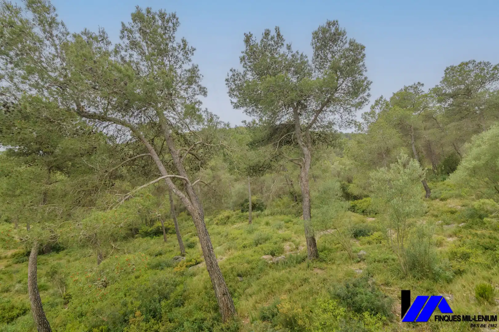 House with terrace for sale in Begues, imagen 115