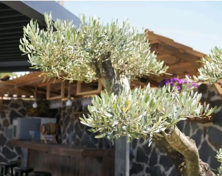 Chalet con terraza en venta en Garbinet - Vistahermosa, imagen 32