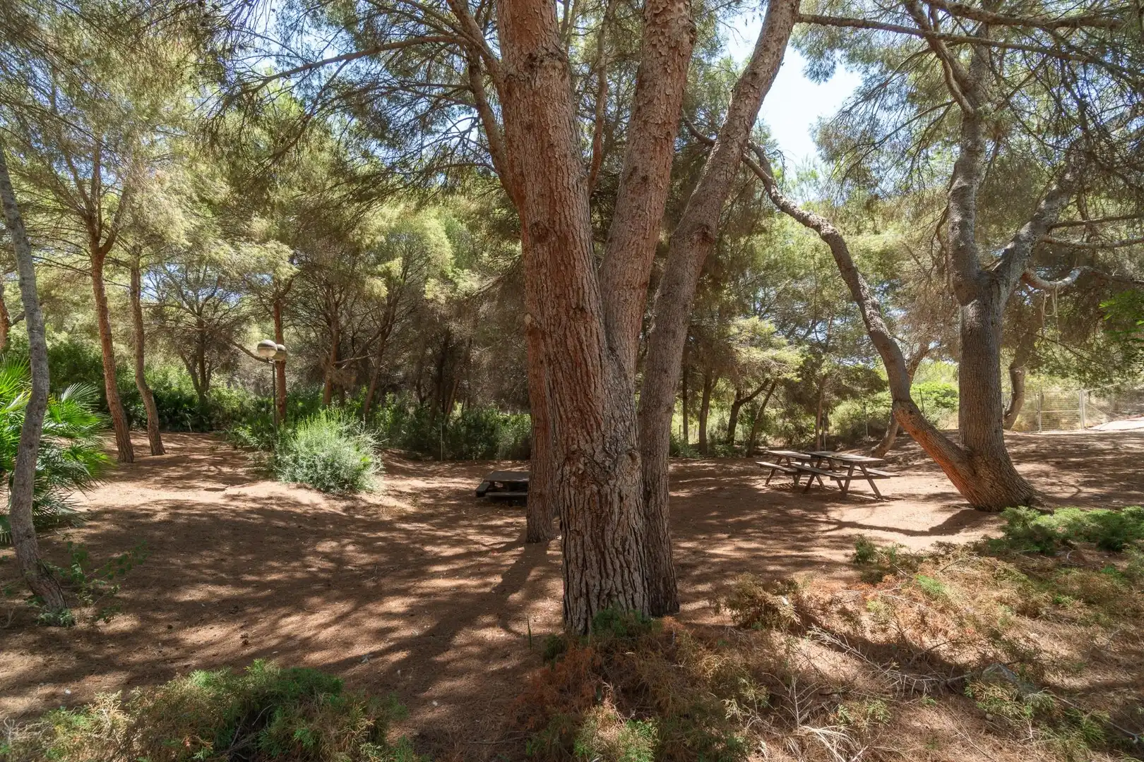 Garden of Apartments for sale in Orihuela  with Air Conditioner, Swimming Pool and Furnished