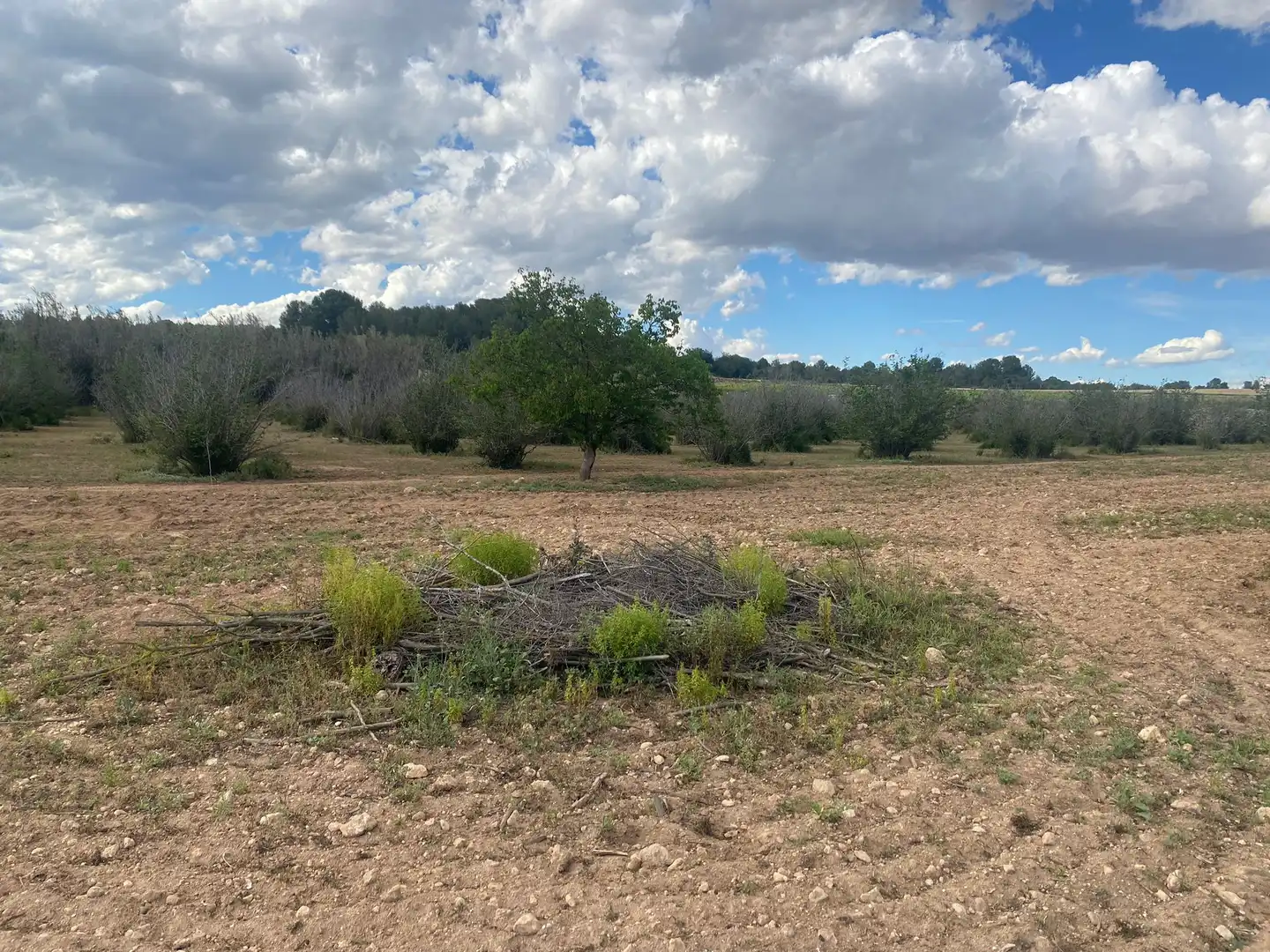 Terreno rustico in vendita a Perafort, imagen 15