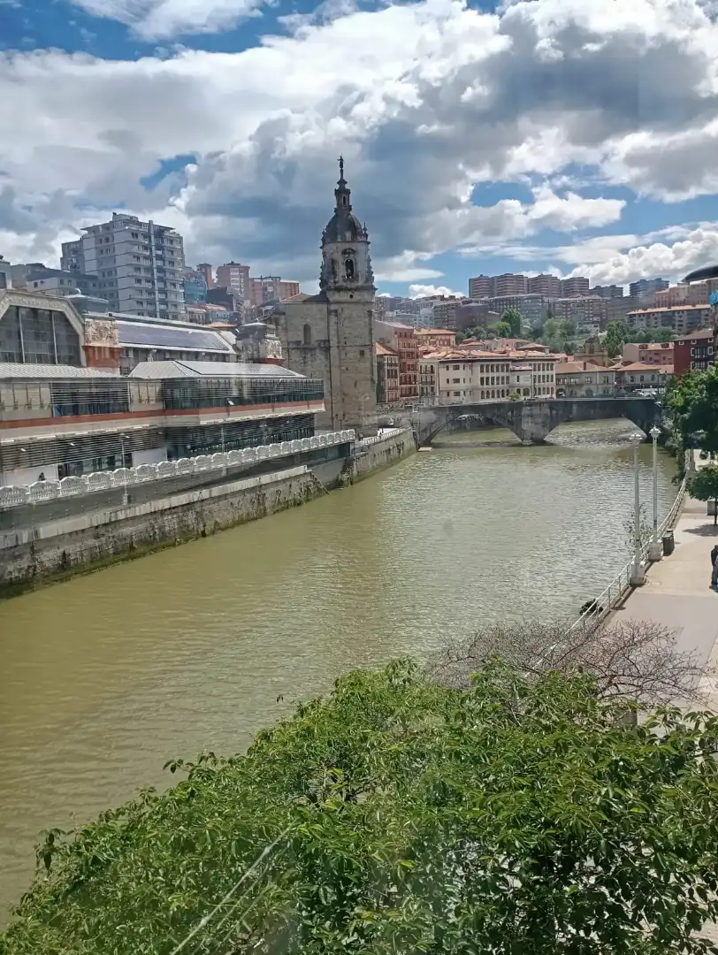 Vista exterior de Loft en venda en Bilbao  amb Balcó