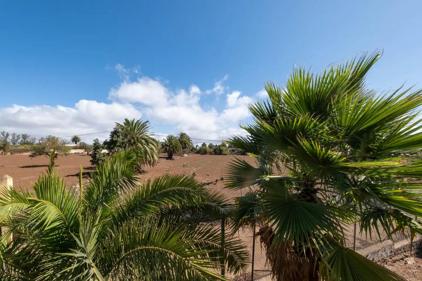 Jardí de Casa o xalet en venda en Santa Brígida amb Jardí privat i Terrassa