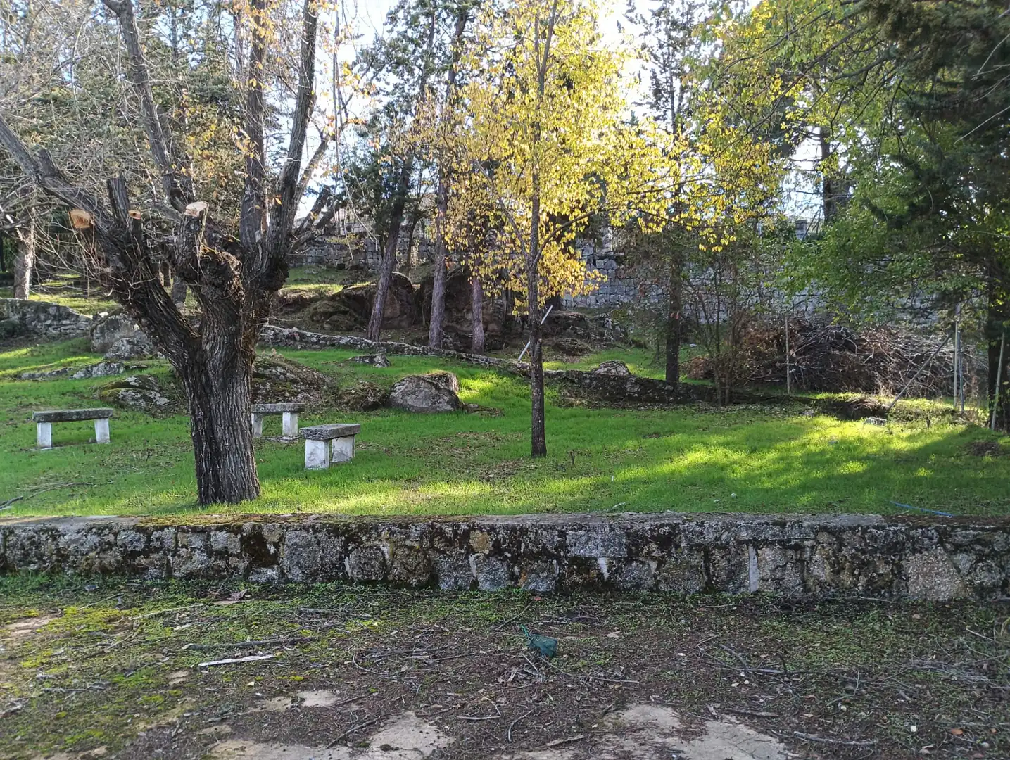 Jardí de Residencial en venda en Colmenar Viejo