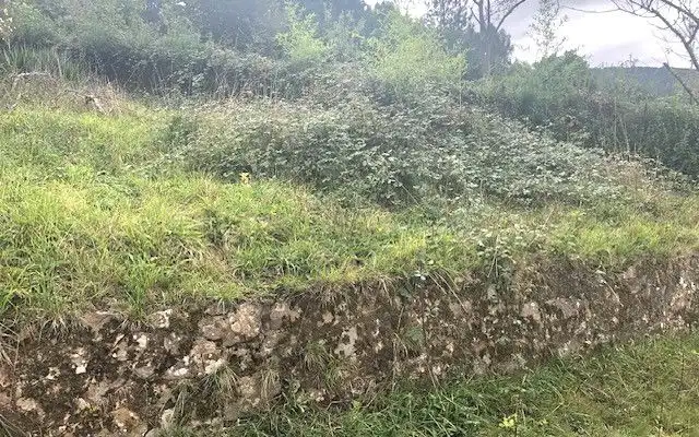 Terreno rustico in vendita a Camino DE LOS CIERROS-CALDONES, imagen 13