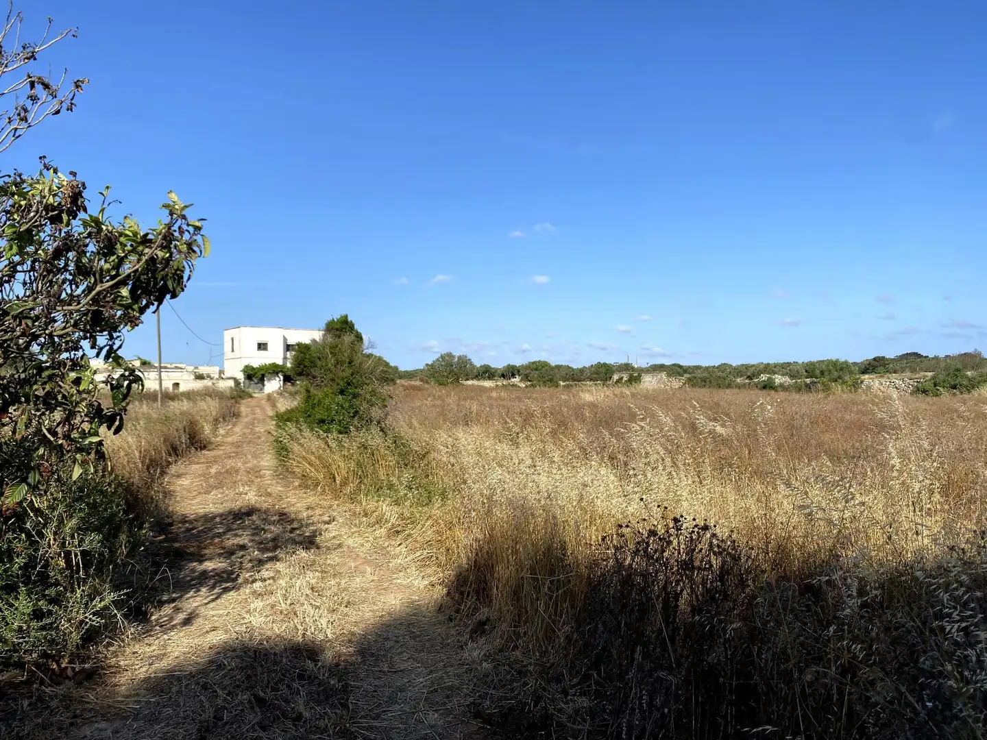 Residencial en venta en Ciutadella de Menorca