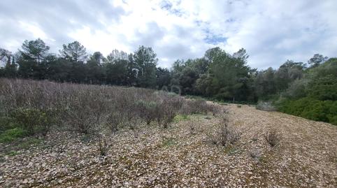 Foto 5 von Residential zum Verkauf in Sant Joan, Illes Balears