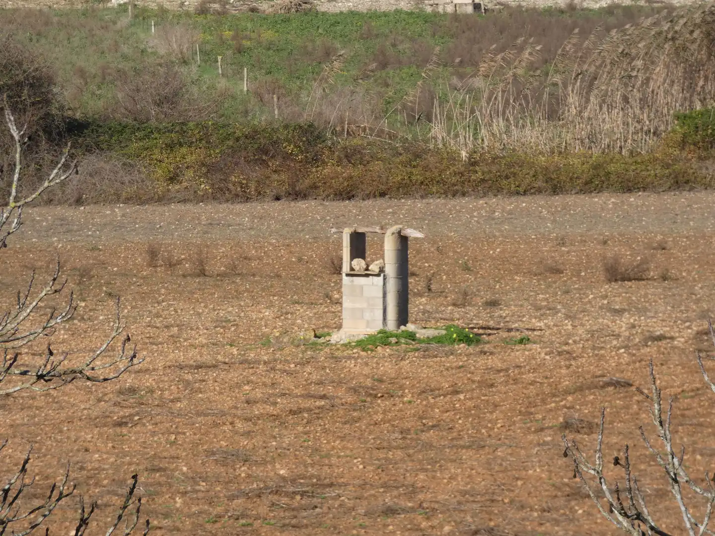Terreny rústic en venda a Ariany, imagen 19