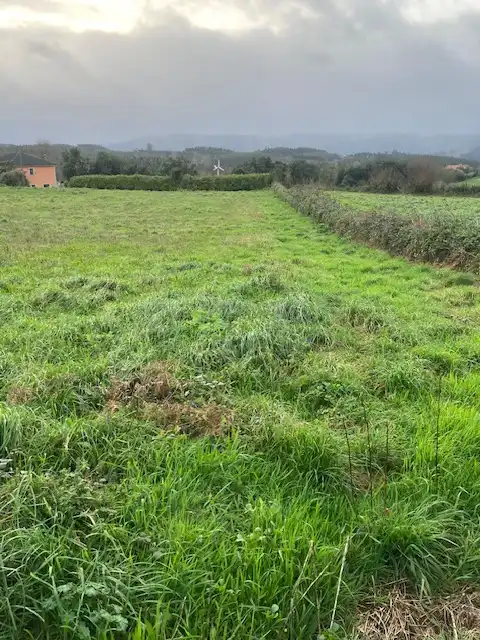 Residential land for sale in Campa San Roque 3, imagen 16