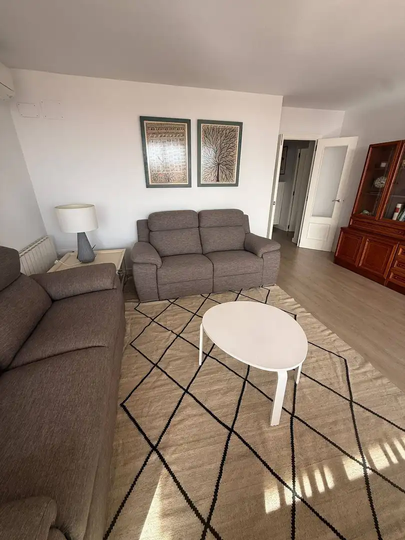 Sala d'estar de Apartament de lloguer en La Pobla de Farnals