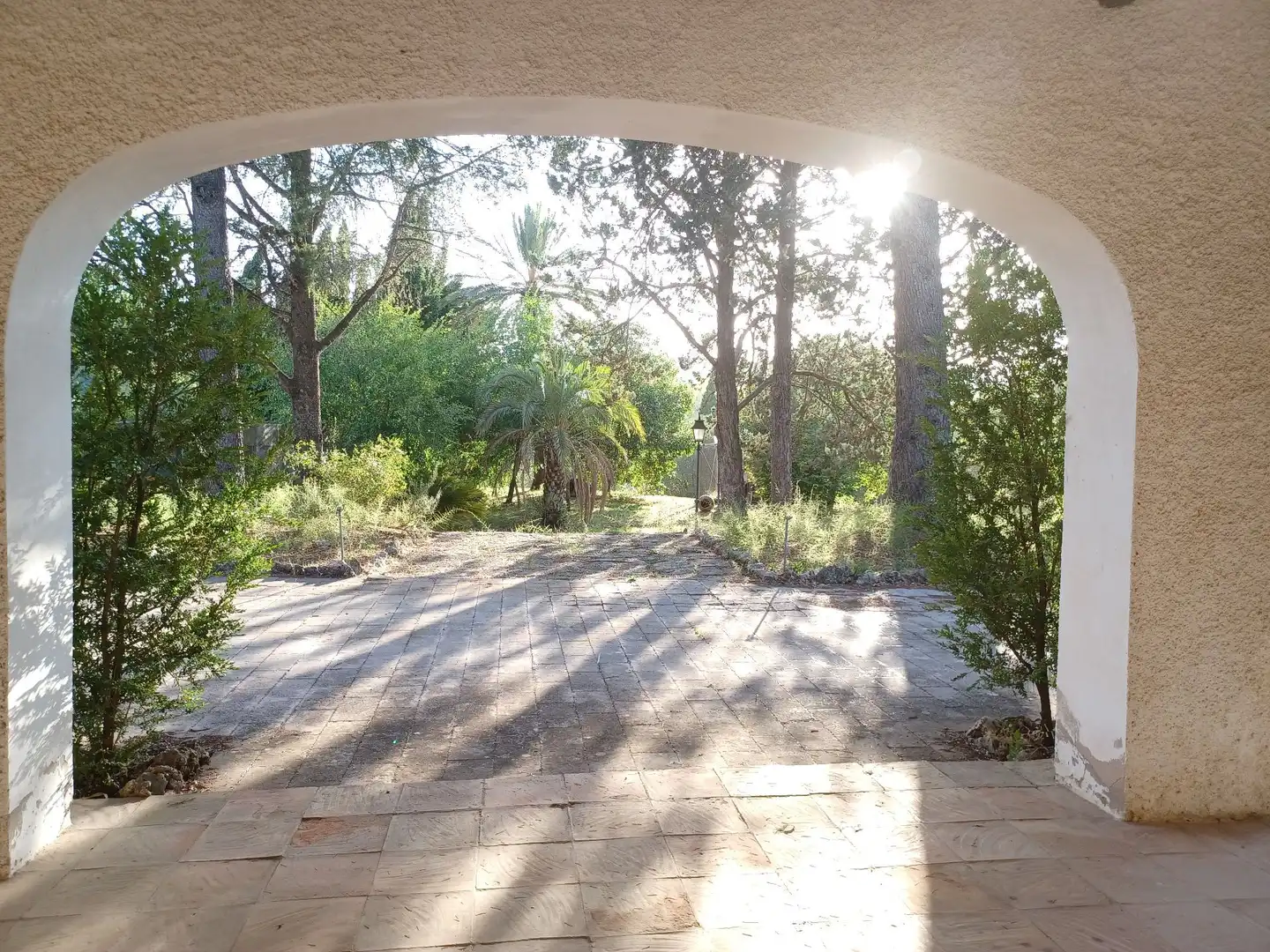 Garden of Houses for sale in Albaida  with Storage room and Swimming Pool