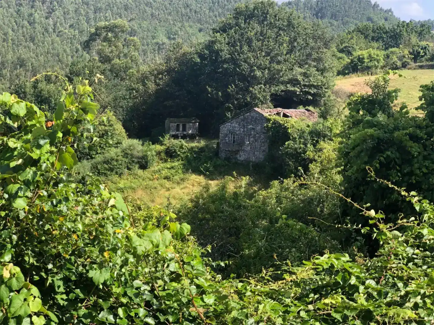 Wohnung zum Verkauf in Cotobade, Pontevedra
