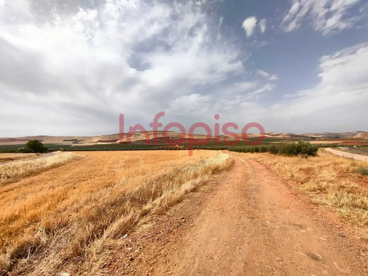 Casa rústica en venda a Valdepeñas, imagen 9