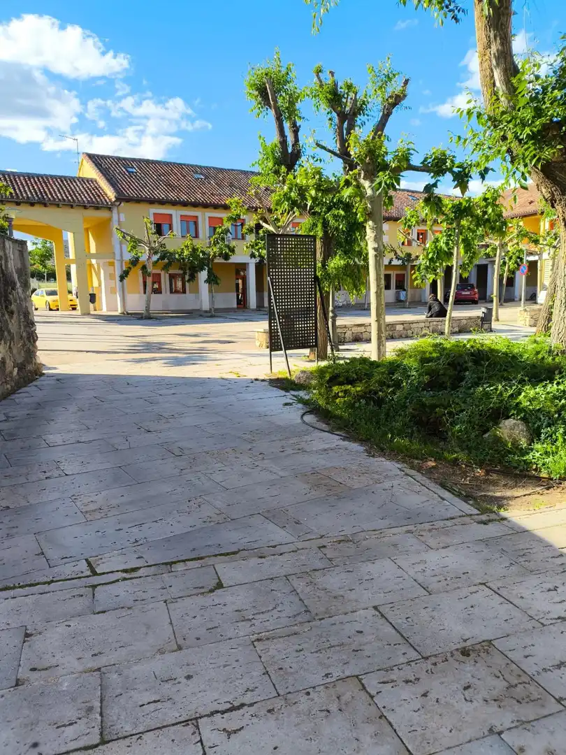 Vista exterior de Casa o xalet de lloguer amb opció a compra en Torremocha de Jarama amb Calefacció, Jardí privat i Traster