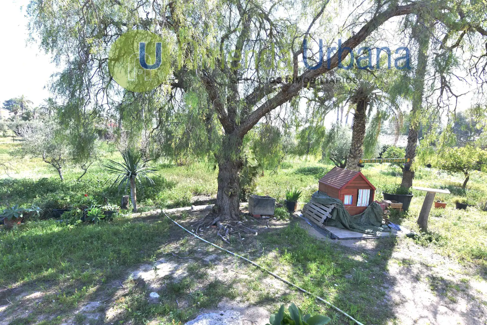 Casa o xalet en venda en Elche / Elx amb Jardí privat i Terrassa