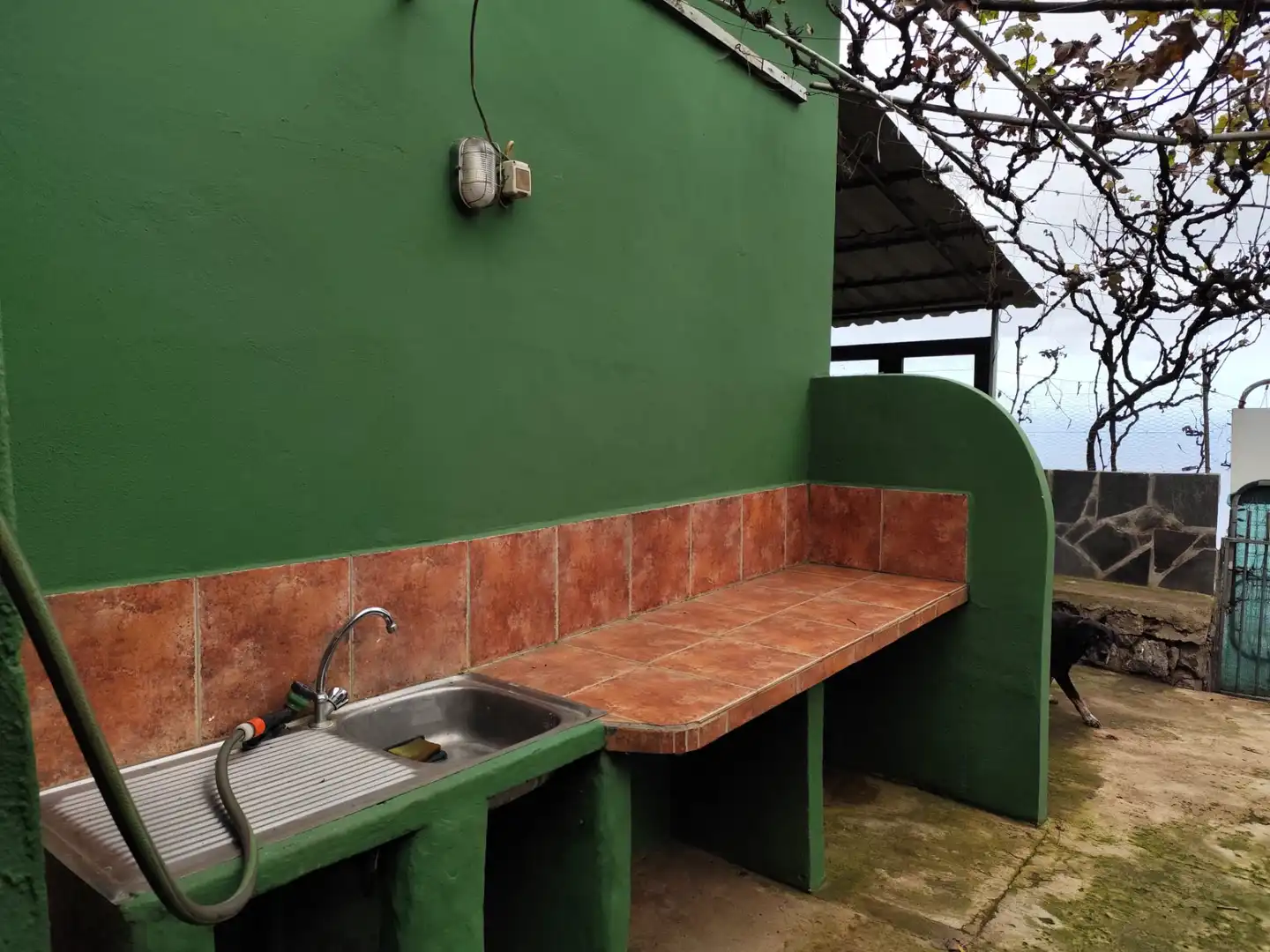 Terreno rústico en venta en Calle los Castaṅos 34, imagen 47