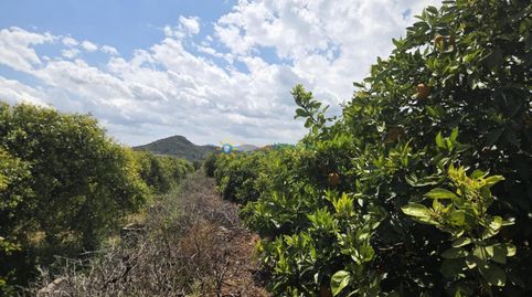 Foto 5 de Terreno en venta en Oliva pueblo, Oliva