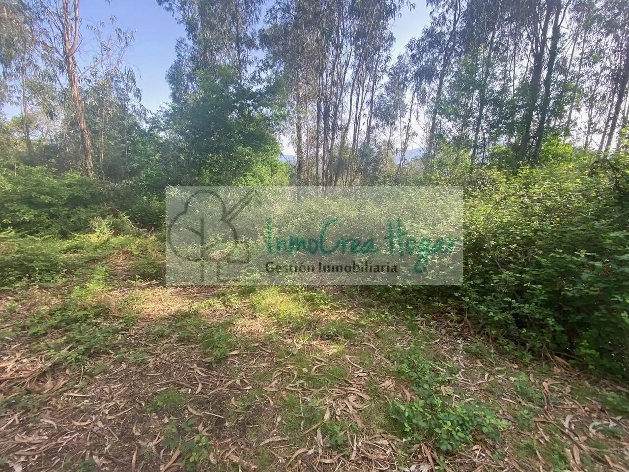 Terreny rústic en venda a Salvaterra de Miño, imagen 15