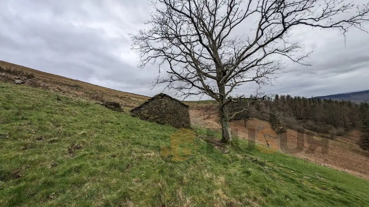 Finca rústica en venta en Selaya