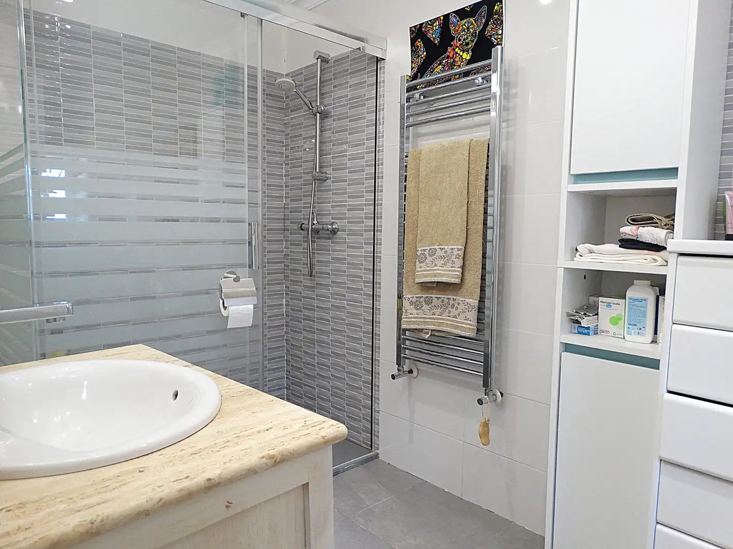 Baño de Casa o chalet en venta en Arganda del Rey con Aire acondicionado, Calefacción y Jardín privado