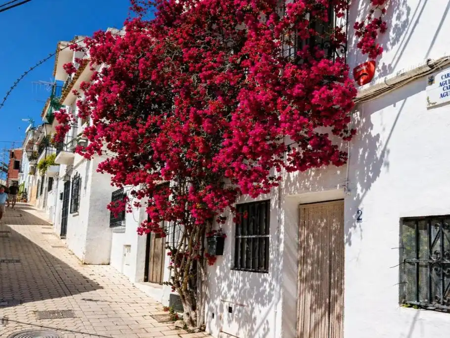 Exterior view of Flat for rent in Altea  with Air Conditioner, Terrace and Balcony
