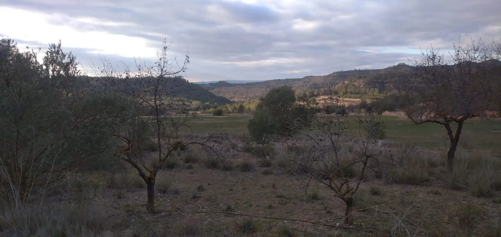 Terreno en venta en La Torre de l'Espanyol