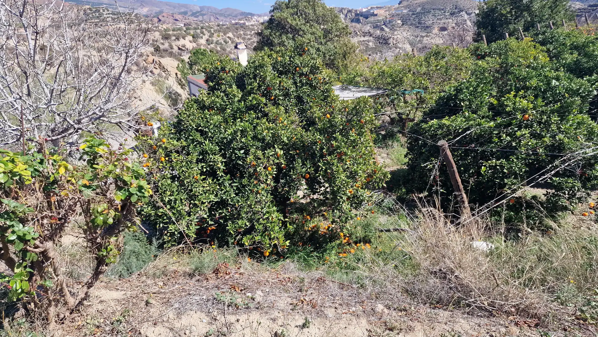 Finca rústica en venda en Canjáyar amb Jardí privat, Terrassa i Traster