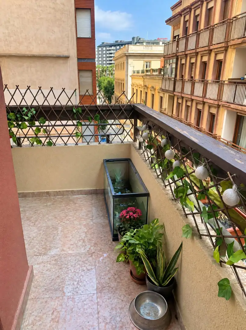 Terrassa de Pis en venda en Centro
