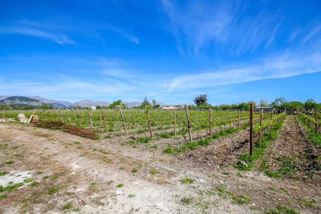 Finca rústica en venda en Alcúdia amb Aire condicionat, Calefacció i Jardí privat