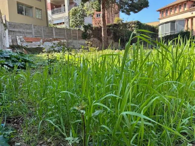 Terreny residencial en venda a Carrer Salut 14, imagen 6