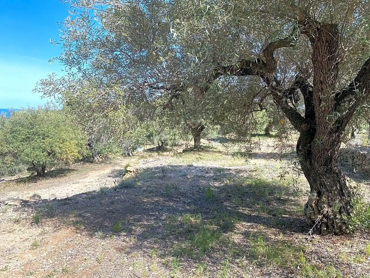 Terreno rustico in vendita a Puig Moltó, imagen 26