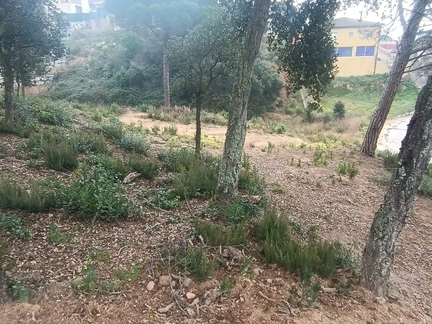 Wohnbaugrundstück zum Verkauf in Niàgara Parc - Àgora Parc, imagen 5