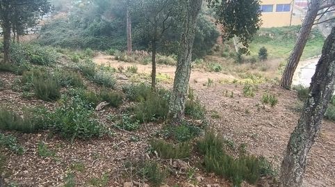 Foto 5 de Residencial en venda a Niàgara Parc - Ágora Parc, Tordera