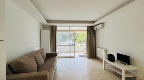 Photo 3 of Study to rent in Avenida Rei Jaume I /s. Ponsa, Santa Ponça, Illes Balears